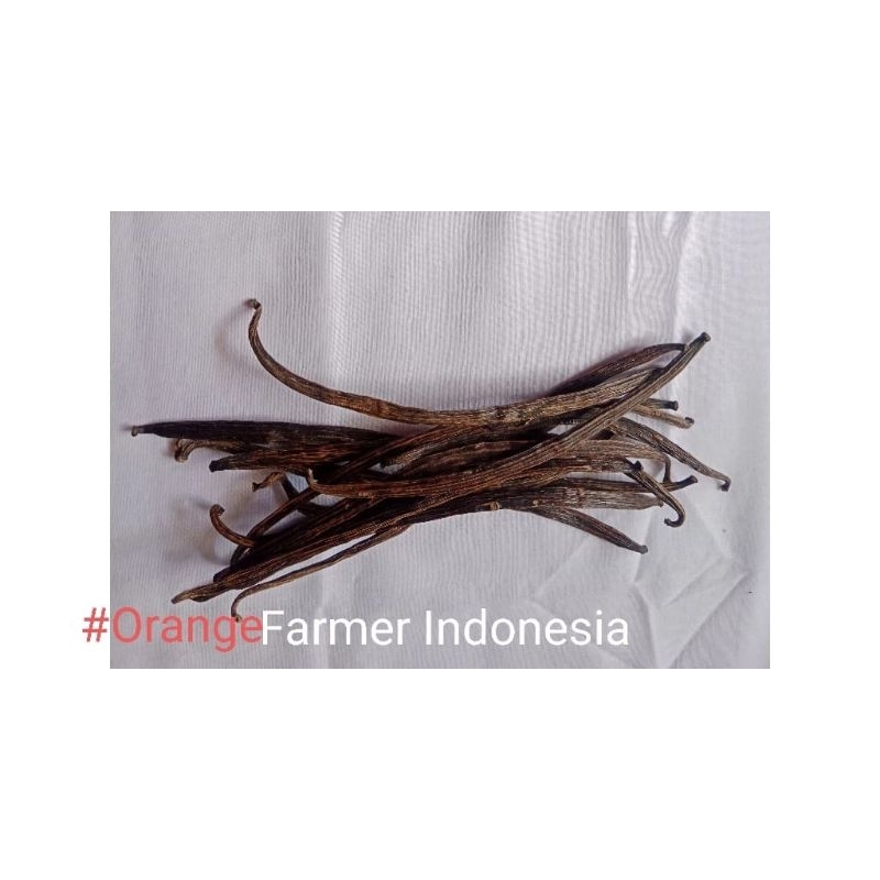 

Vanili 10 Gram kering jemuran tradisional, dipetik dan langsung dikeringkan