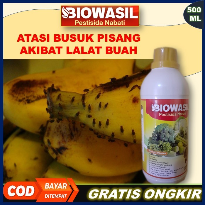 Murah BIOWASIL Pestisida Nabati 500 Ml Paling Ampuh Pupuk Pengendali Hama Lalat Buah Tanaman Pisang 