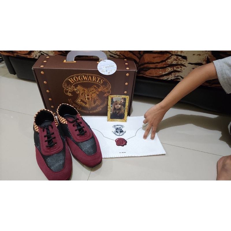 Ittaherl x Harry Potter The Quidditch Sneakers