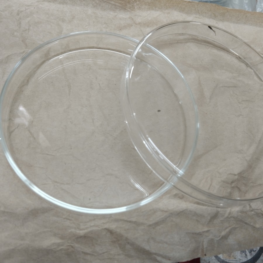 Petri Disk / Cawan Petri 10cm