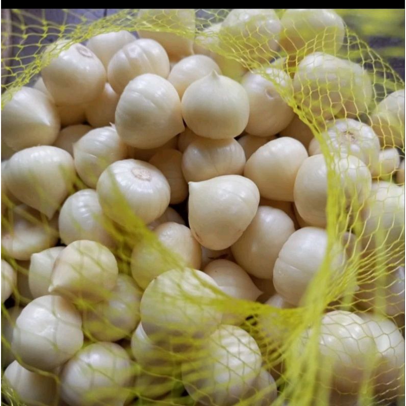 

BAWANG PUTIH TUNGGAL KUPAS 1kg Besar