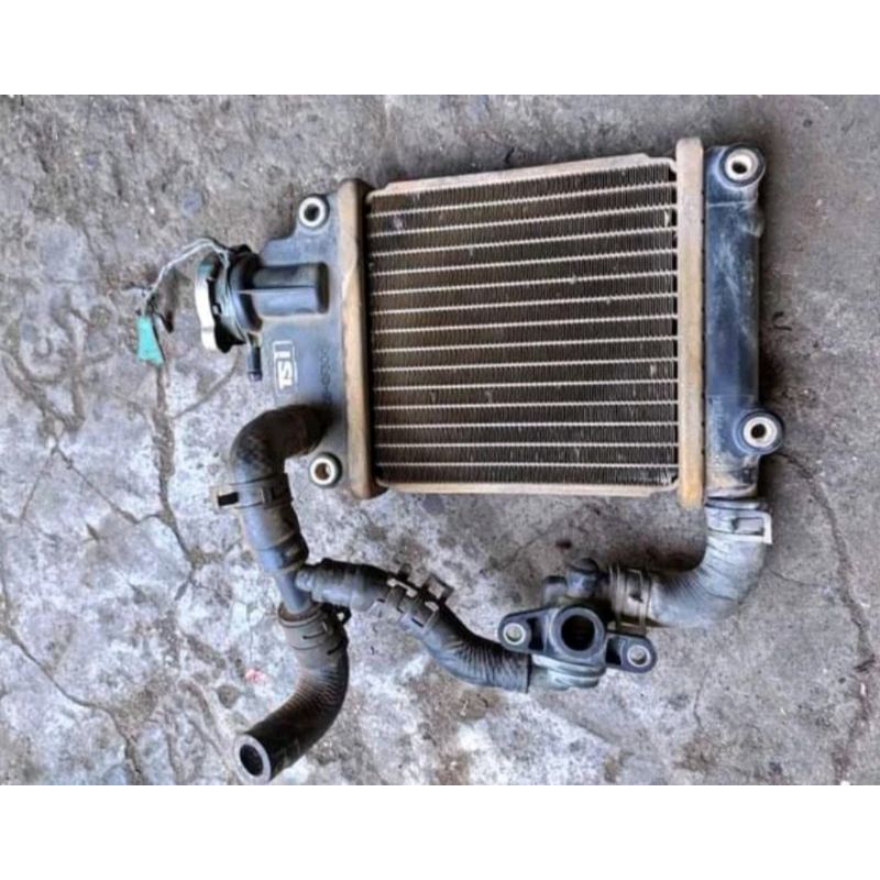 Radiator+Termostat Vario 110 Karbu/Techno Karbu Original Copotan