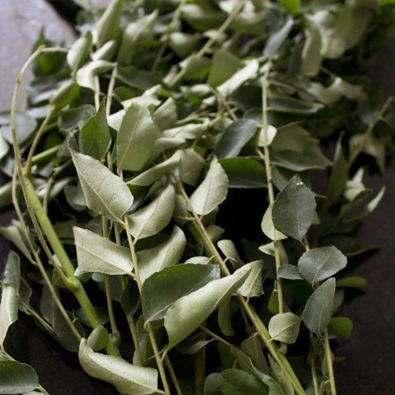 

Daun Kare Kering/ Daun Salam Koja 100gr