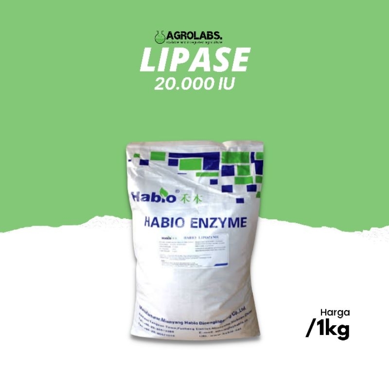 LIPASE Enzyme Lipozyme Pemecah Lemak Pakan Hewan Ternak
