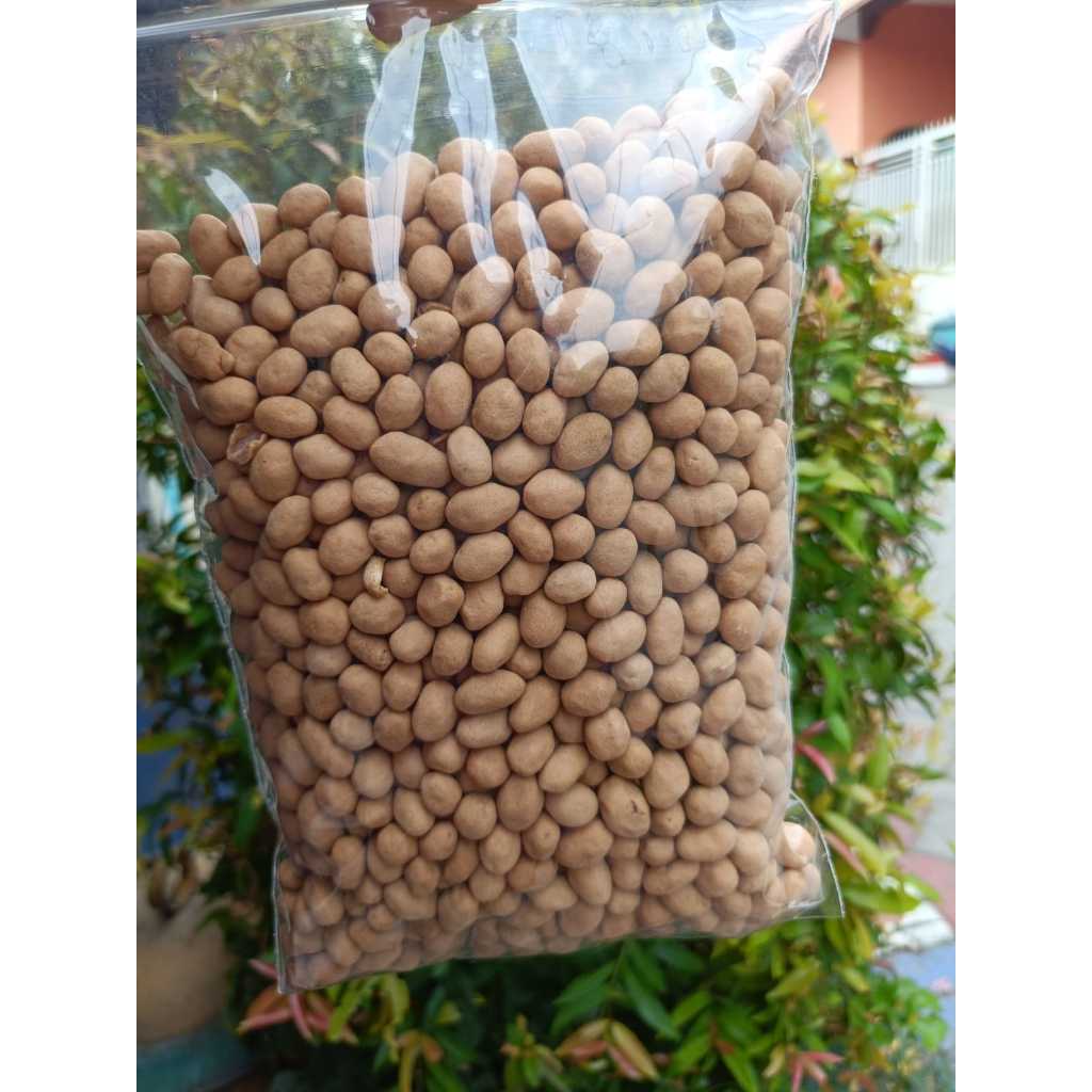 

Kacang Oven Kacang Telur Bima 100gr/250gr/500gr