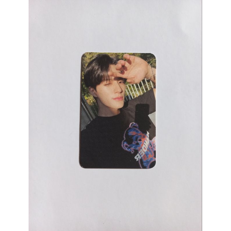 Jeno teddy island PC photocard