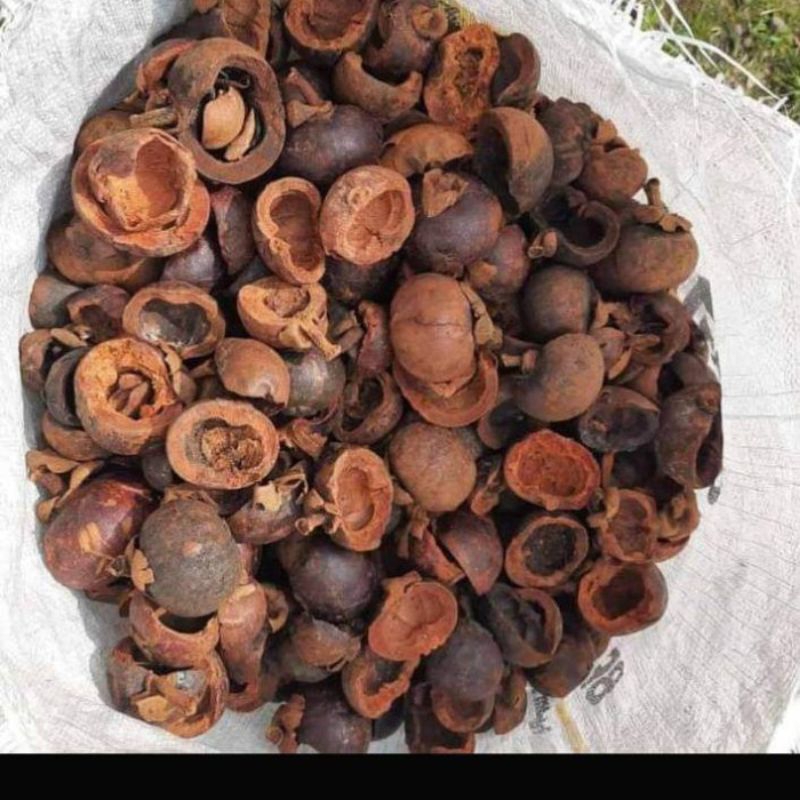 

Kulit manggis kering alami 1kg