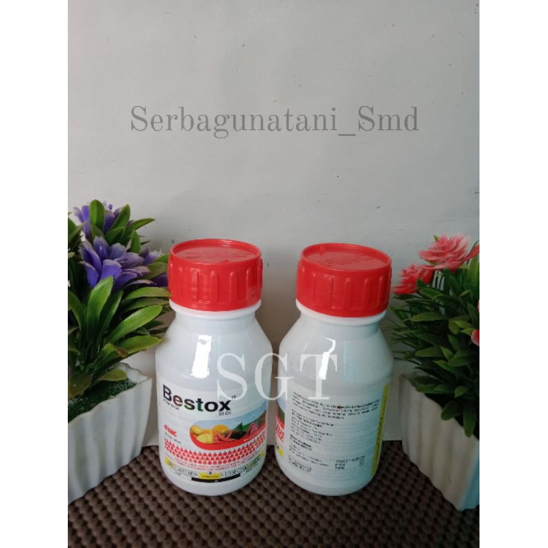 BESTOX 50EC INSEKTISIDA 250ML