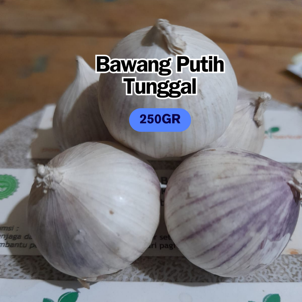 

Bawang Putih Tunggal Lanang Isi 250 Gr Ukuran Besar Jumbo Fresh