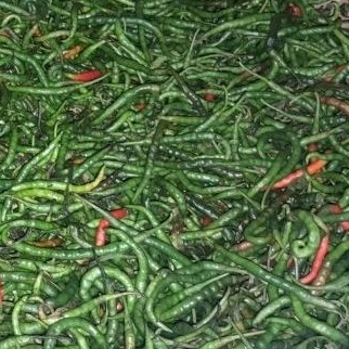 

Cabe ijo keriting super seger 500gr