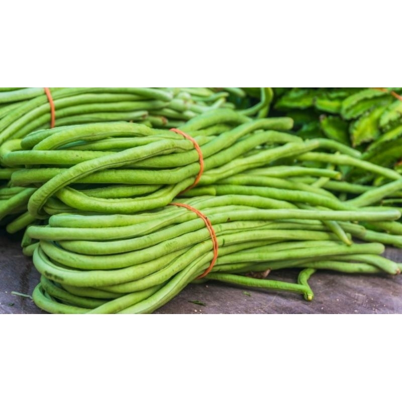 

Kacang Panjang Segar