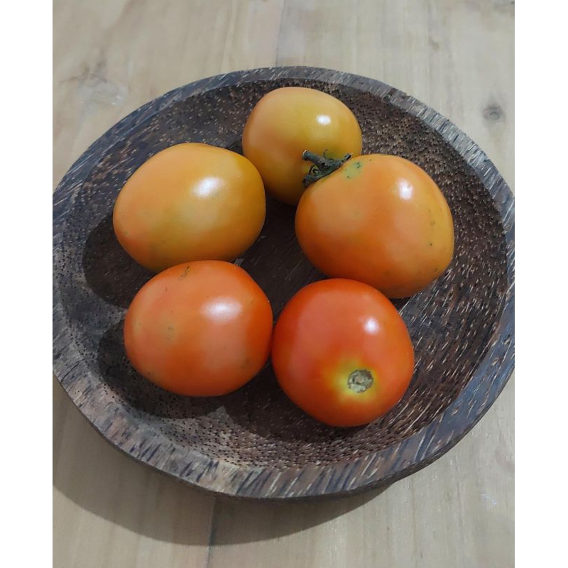 

LILYSAYUR Tomat tomatoes 250gr