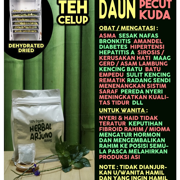 

PROMO SALE Dehydrated Dried Teh Celup Daun Pecut Kuda Obat Asma Sesak Nafas Gerd Sirosis Hati Hepatitis Amandel Kencing Manis Batu Empedu Mengembalikan Posisi Rahim Pasca Melahirkan Booster ASI DLL Herbal Alami