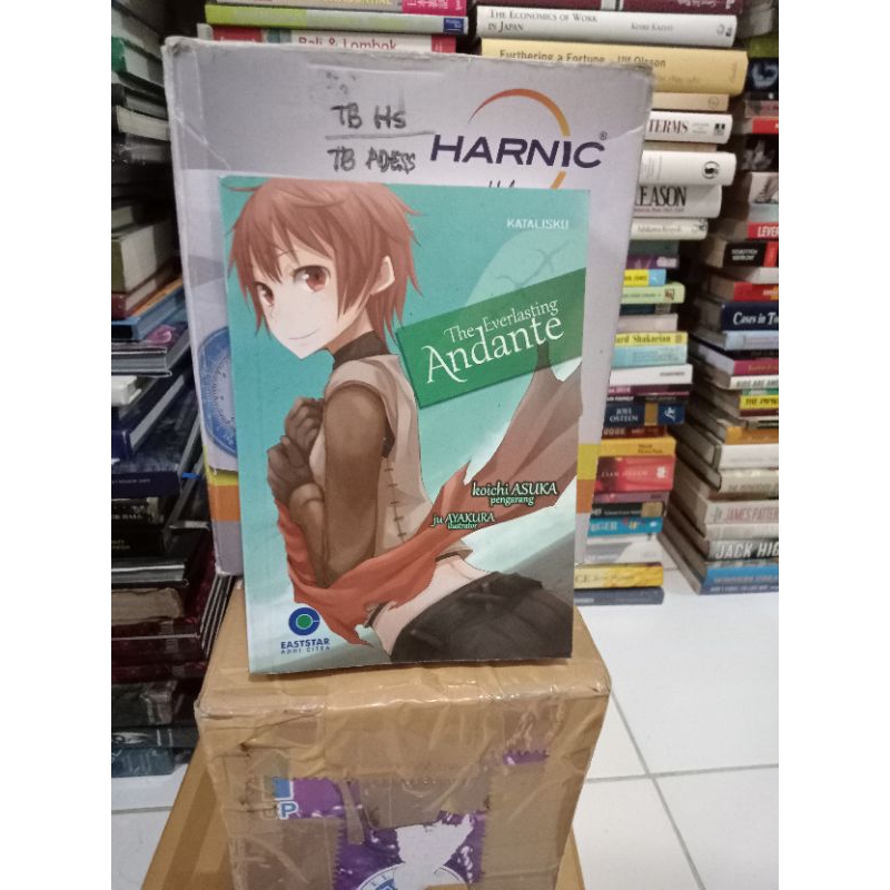 Novel Ori The Everlasting Andante