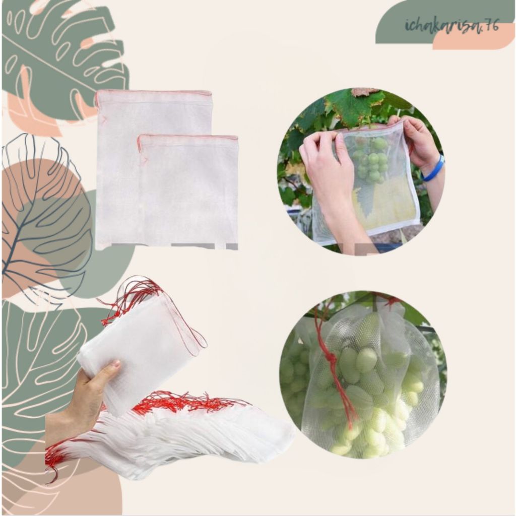Fruit Cover Jaring Net Transparan Brongsong Pembungkus Buah Anggur Berkualitas