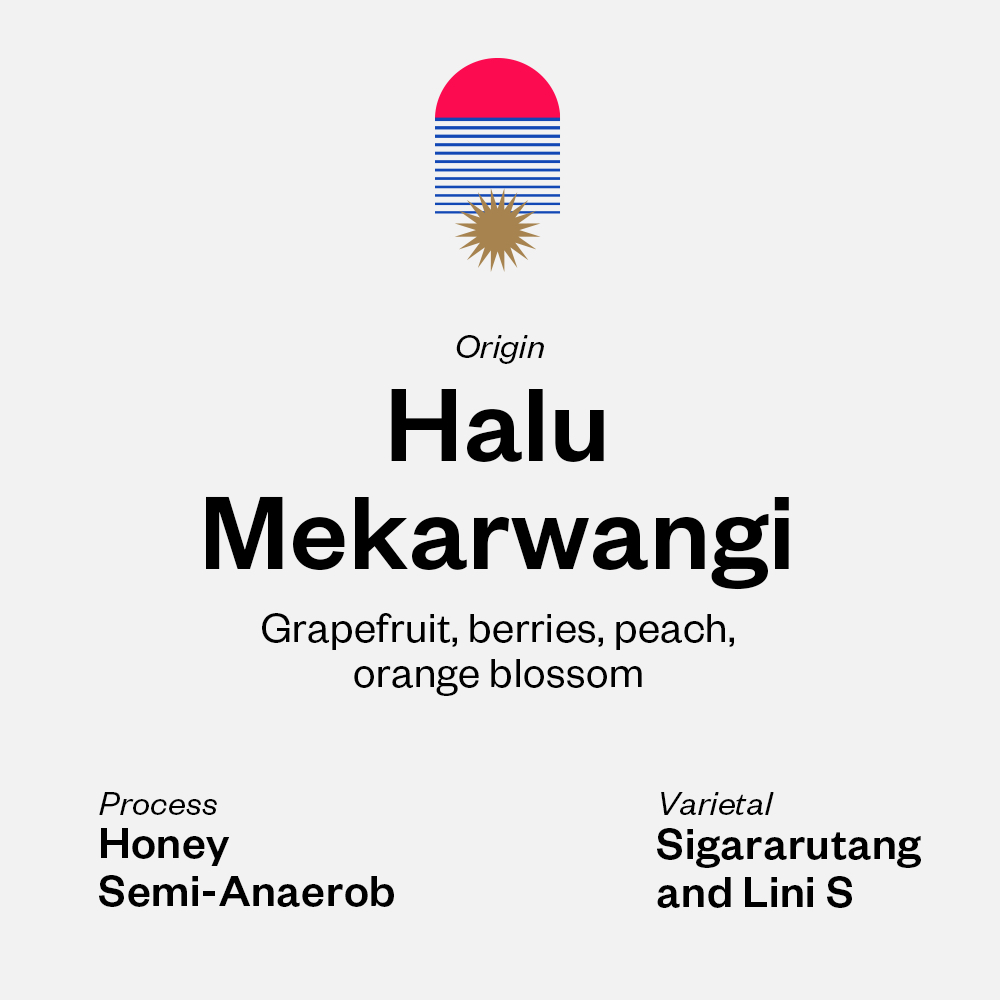 

Halu Mekarwangi - Pink Moscato - Honey Semi Anaerob - Svurga Roastery