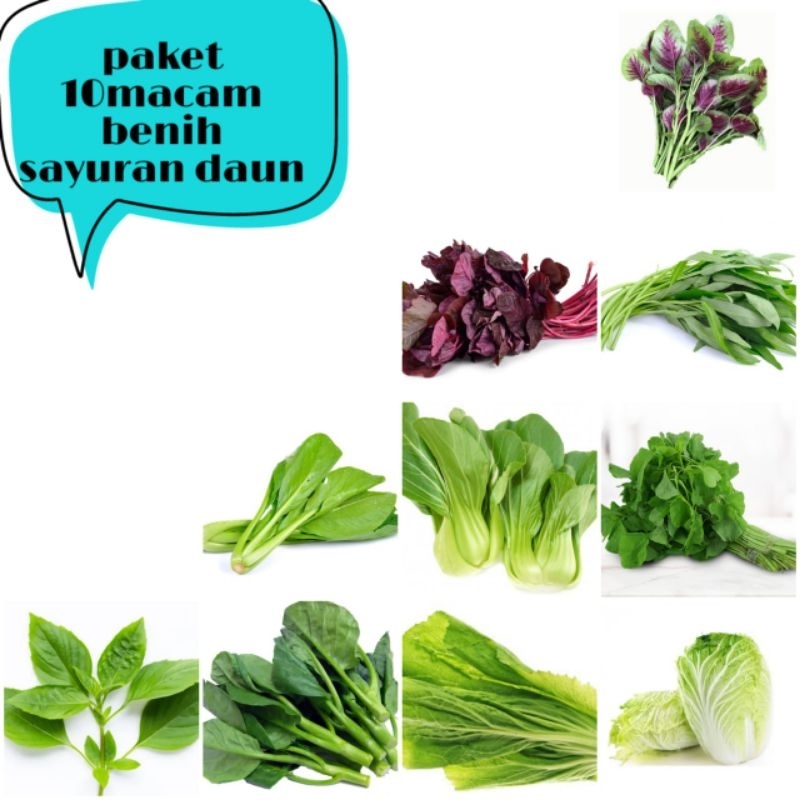 COD 10 macam benih sayuran daun/bibit sayuran daun lengkap paket 10 macam isi lebih banyak