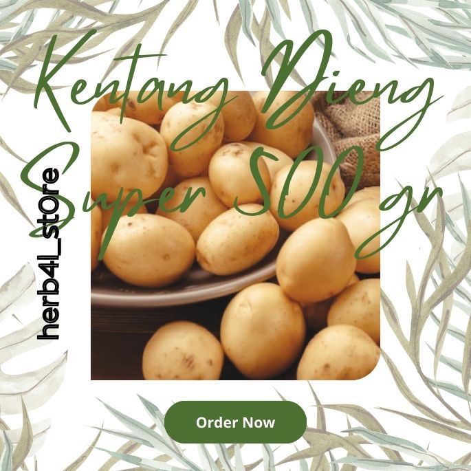 

Kentang Dieng Super 500 gr herb4l_st0re
