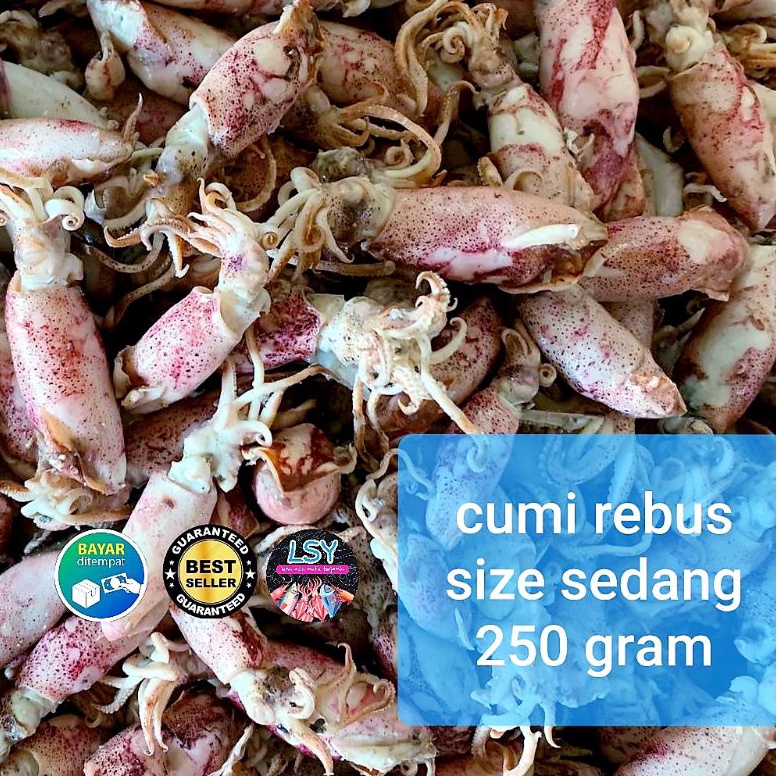 

Cuci gudang ikan asin cumi rebus sotong rebus size sedang 25gram