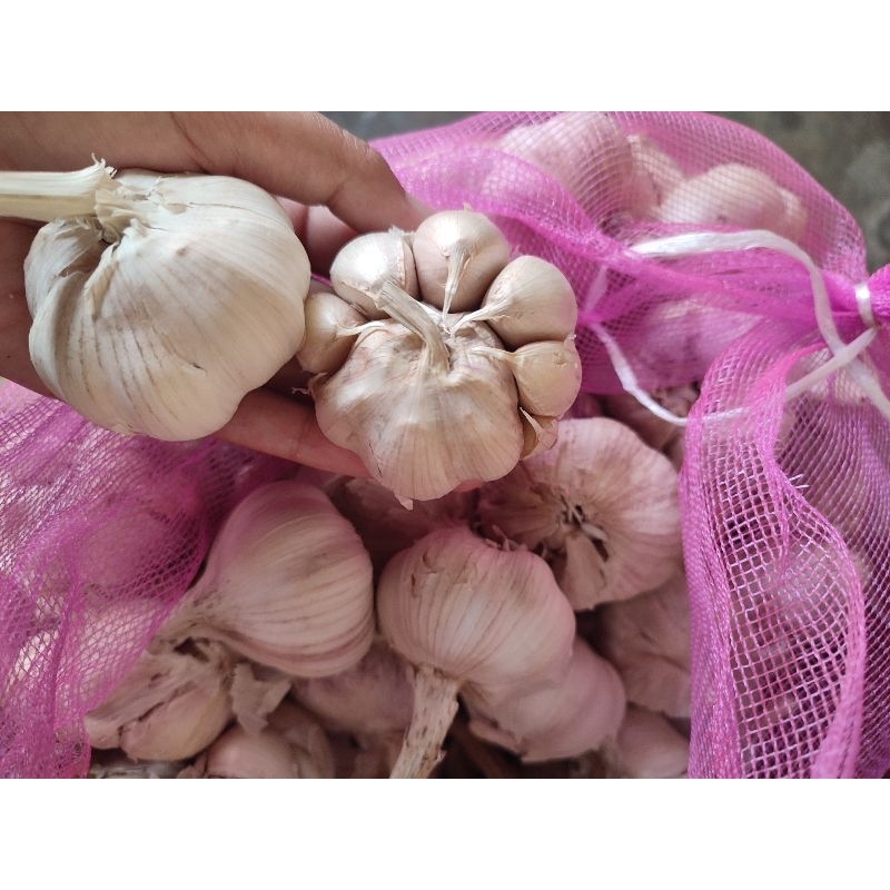 

Bawang Putih | Fresh Garlic