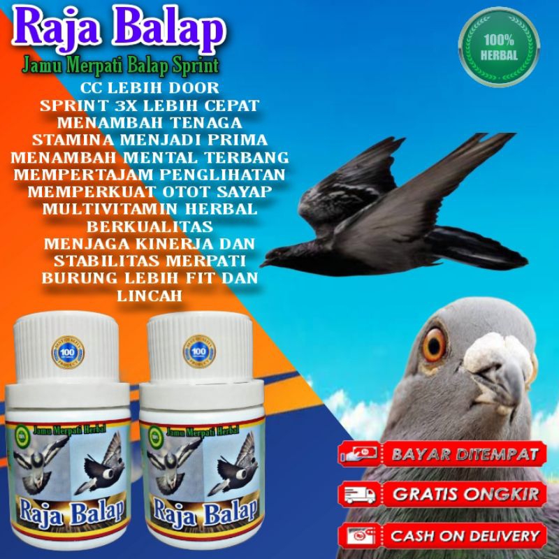 PROMO  JAMU MERPATI RAJA BALAP 100 PIL HITAM Doping merpati balap sprint Doping merpati Tinggi dopin