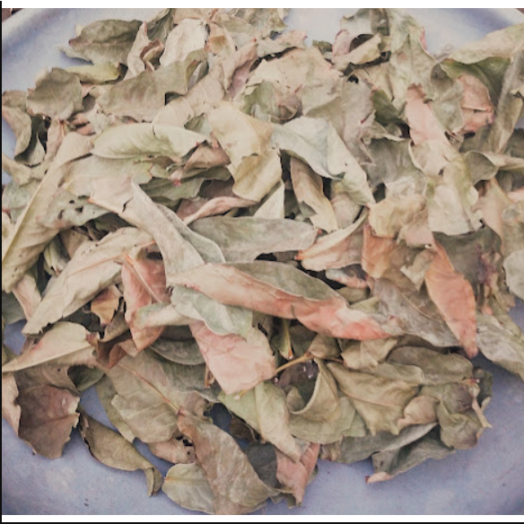 

Daun Jambu Air Kering/ Daun Aer kering alami