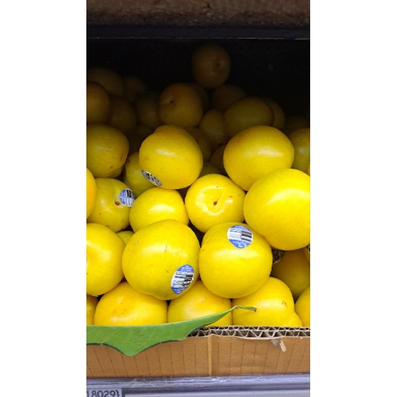 

Buah Plum Green Midas Fresh 1 Kg