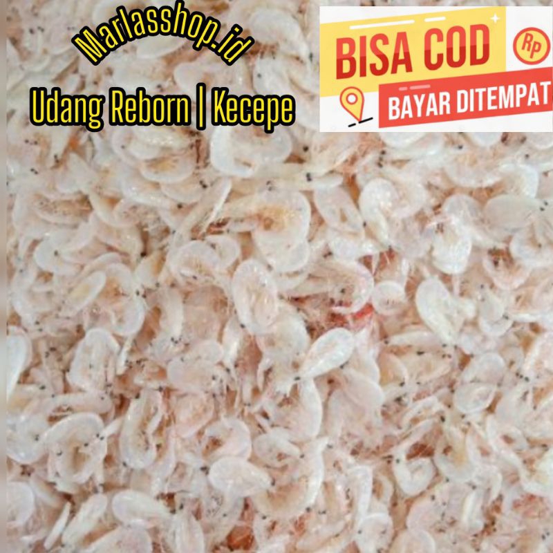 

Udang Kecepe/Udang Reborn 1 Kg