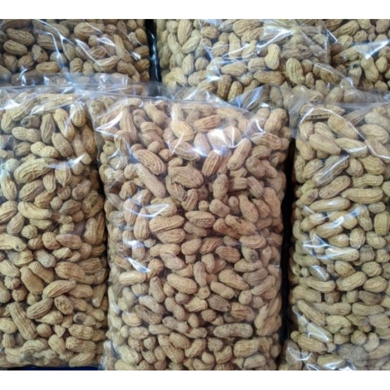 kacang oven kacang kulit oven kacang sangrai 1kg