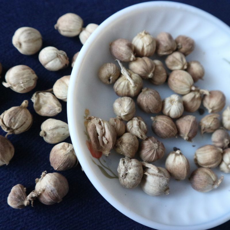 

KODE A Kapulaga 50 Gram