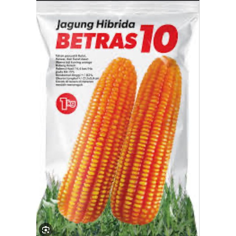Benih Jagung Pipil  BETRAS 10 Kemasan 1 Kg Bintang Asia
