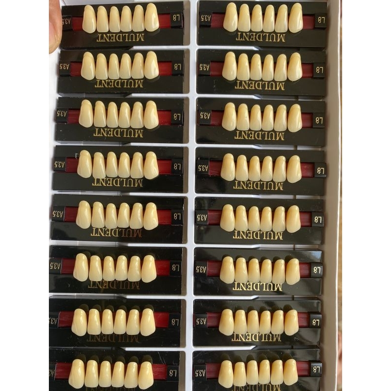 gigi palsu merek muldent per dus isi 16 papan.khusus depan bawah