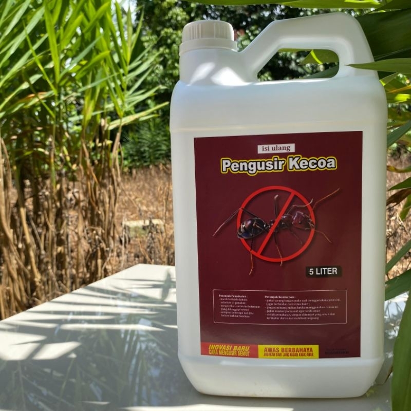 OBAT PEMBASMI SEMUT TANAMAN | SEMUT RUMAH | SEMUT TANAH | SEMUT HITAM | SEMUT MERAH | Ramah Lingkung