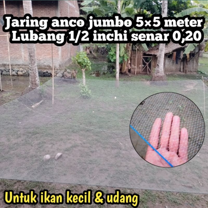 Jaring anco jumbo 5×5 meter / Branjang udang / tangkul ikan