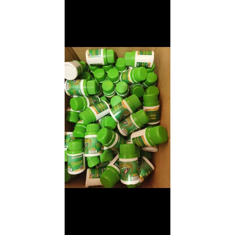 ebod dorr jamu untuk merpati balap 100 butir