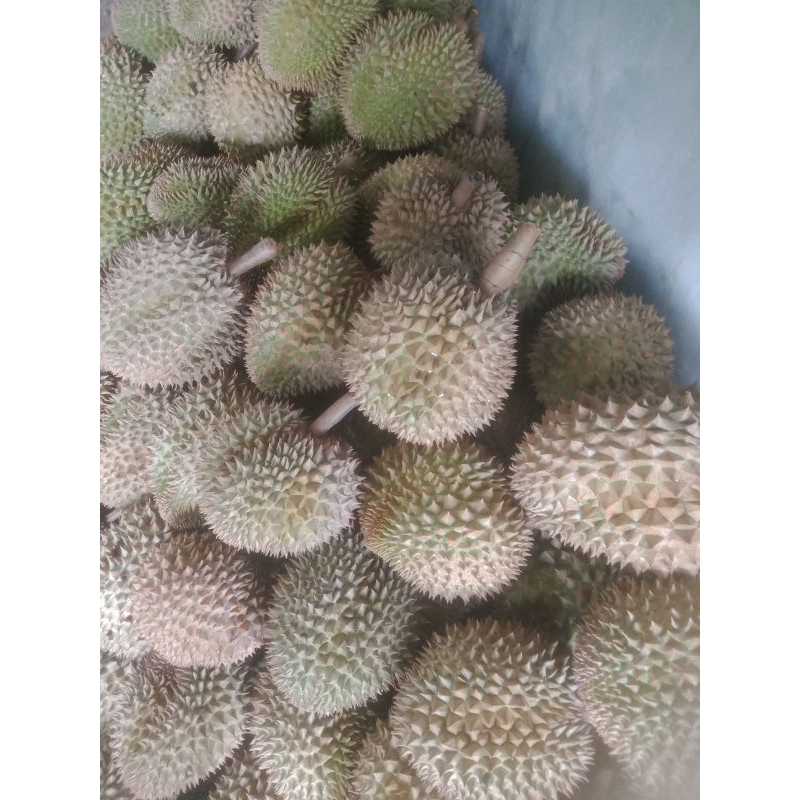 

Durian Bawor Pak Sarno