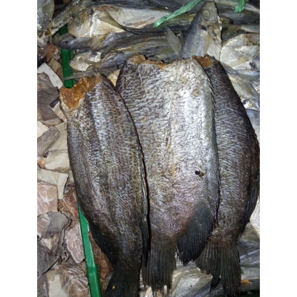

Ikan asin sepat siam besar kualitas super 250 gram