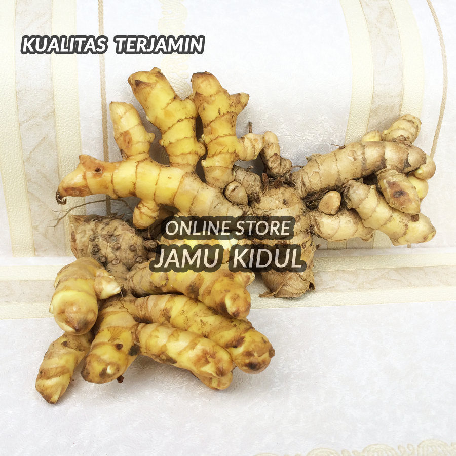 

Temu Mangga Segar 1kg Organik dan Fresh dari Hutan