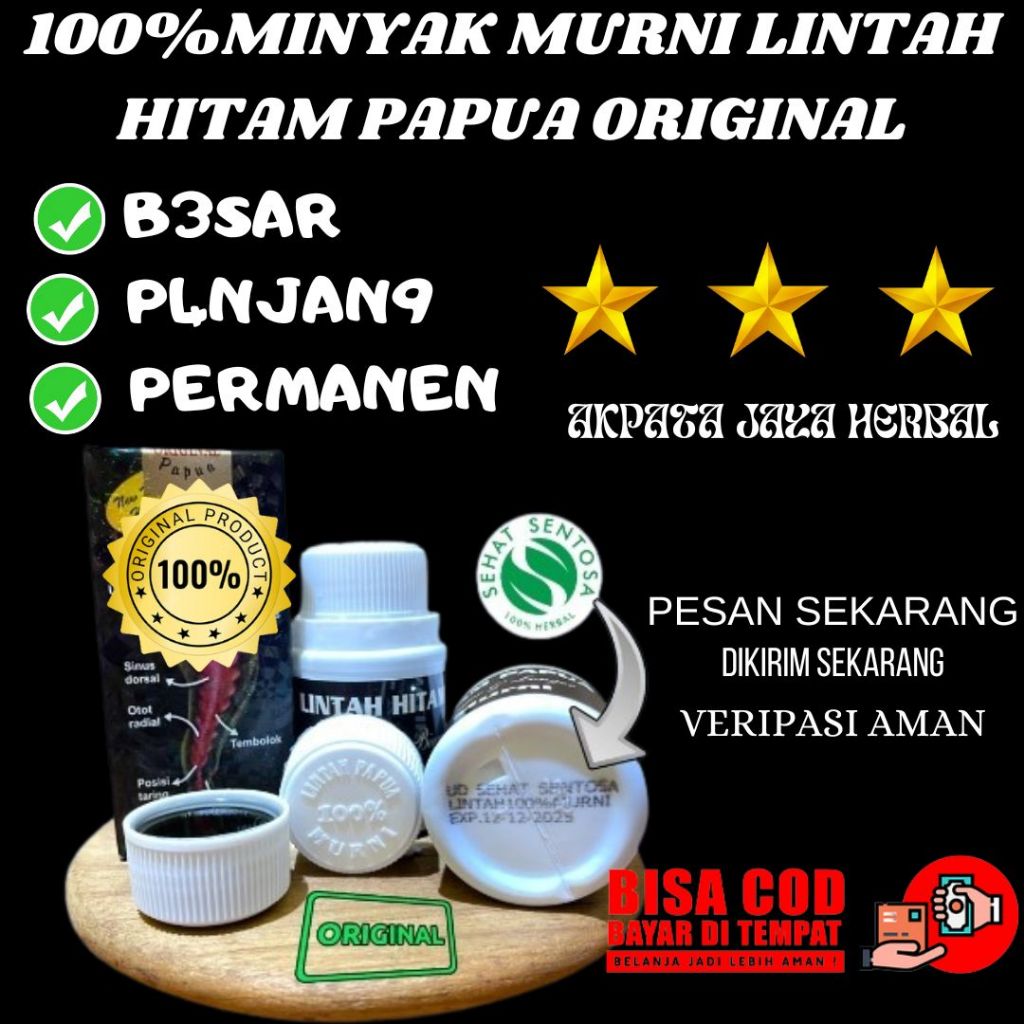 minyak-lintah-hitam-papua-original