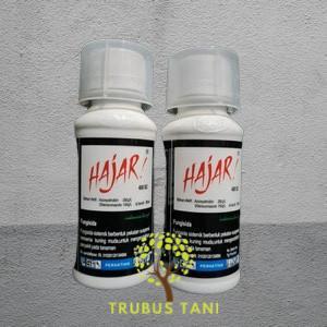 Fungisida HAJAR 400 SC 100 ML