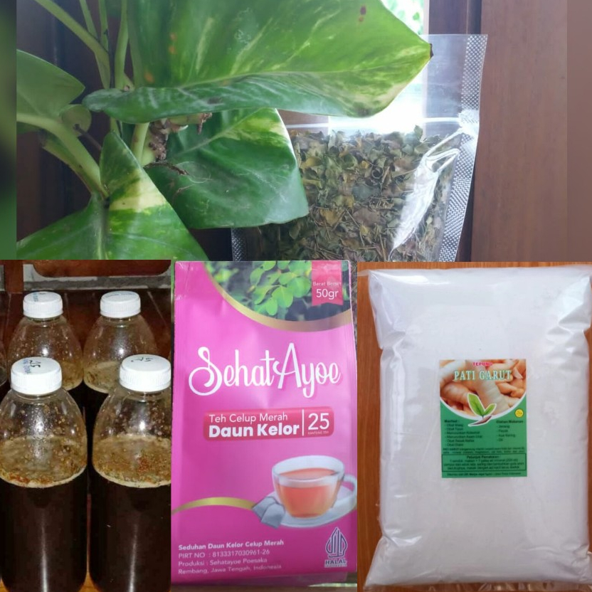 

Teh Merah Moringa Daun Kelor + Tepung Garut + Madu Hutan + Kelor Kering Tubruk, Paket Sehat dan Lezat yang Kaya Manfaat