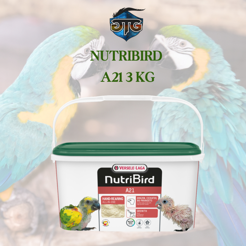 Nutribird A21 3kg Bubur Lolohan