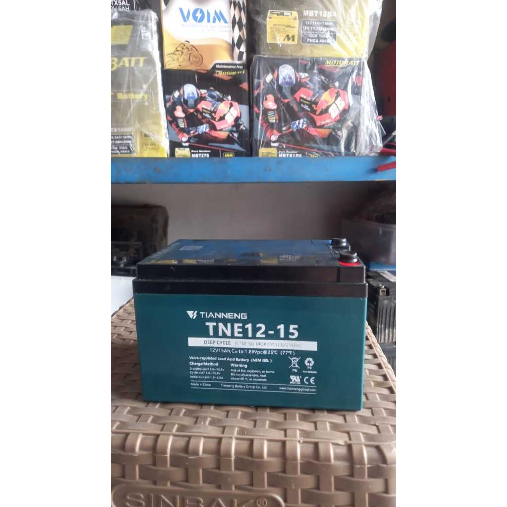 Battery sepeda listrik Go Green Original Tianneng TNE12-15 6DZM12