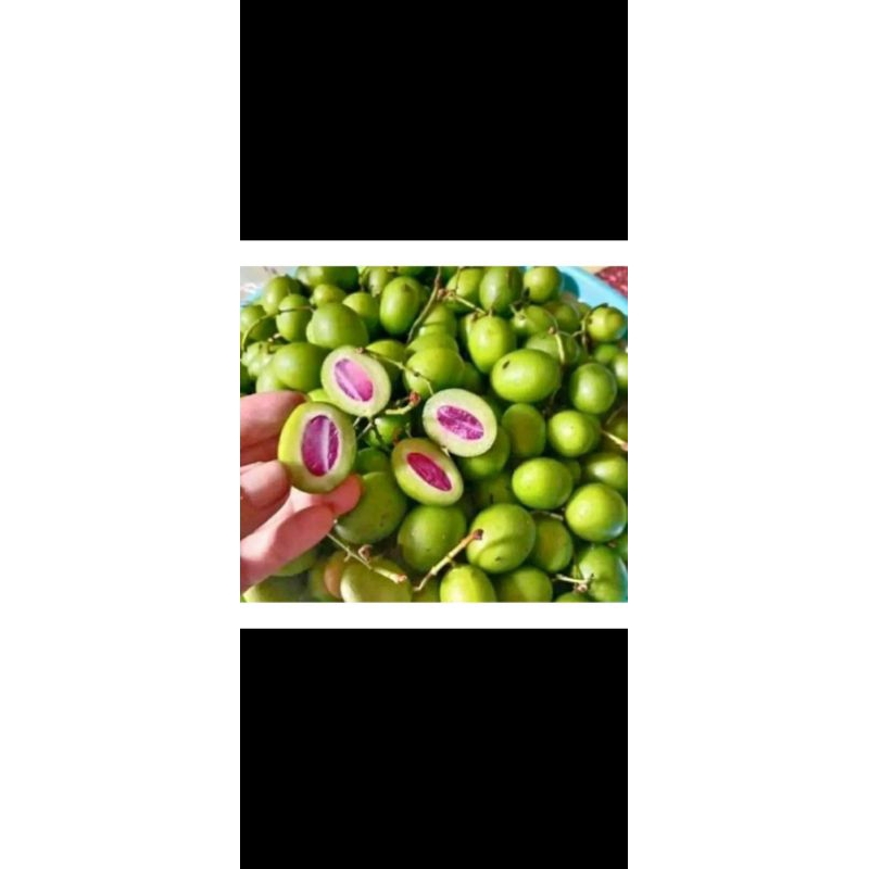 

Buah Jatake Gandaria segar