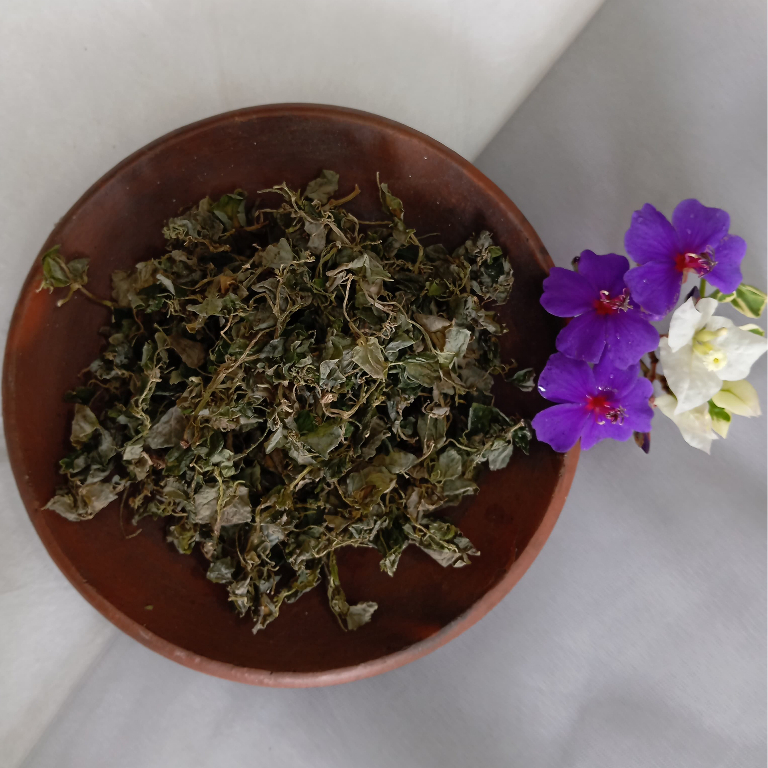 

Simplisia Seseuruhan / Sirih cina Kering