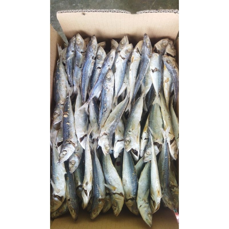 

IKAN ASIN CUE / LAYANG REBUS 1000GR