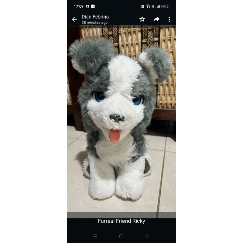Furreal Friend Ricky Preloved