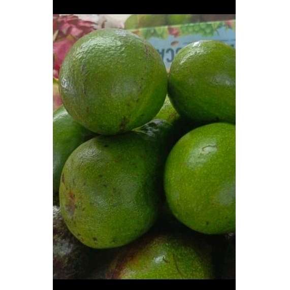 

Alpuket fresh PakSr 500gram