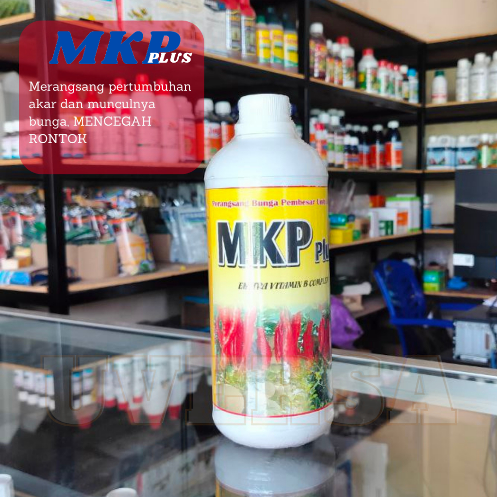 PUPUK MKP CAIR PLUS BORON kemasan 1 liter Pemicu Bunga dan Buah