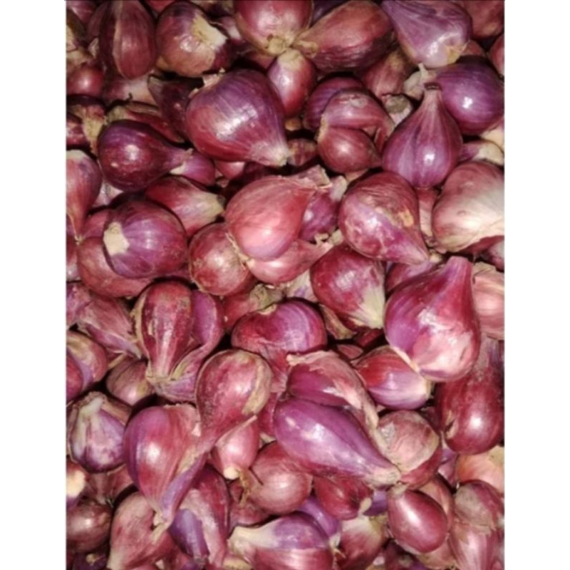 

Bawang merah segar 500 gram / 1 kg